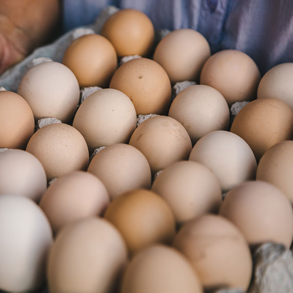 Free Range Eggs 30 (Gisborne only) The Tasty Vege Co.